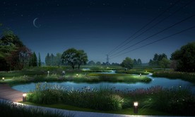 湿地夜景