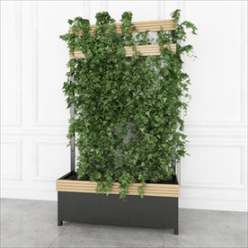 绿色植物篱笆墙