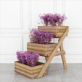 花箱里的观赏性花卉