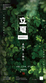 中国二十四节气立夏海报