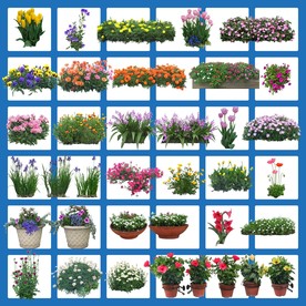 卡通花高清花草盆栽爱护花草景观