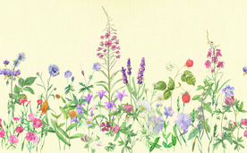 韩服风 叶子花 大牌 潮流