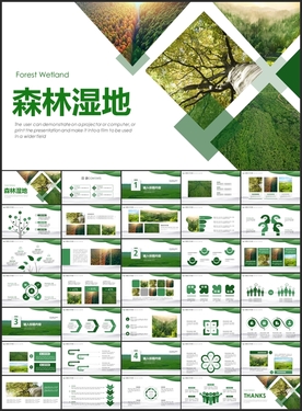 保护生态环境森林湿地PPT