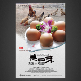 土鸡蛋海报