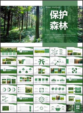 森林PPT