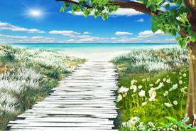 通往海洋的栈道