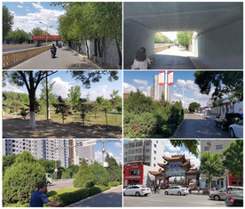 一组街道穿行素材