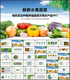 有机蔬菜水果PPT