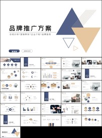 完整框架品牌推广方案PPT模板