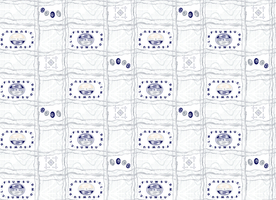 大牌精美暗纹几何格子