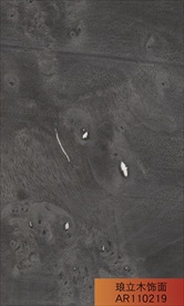 琅立木饰面黑胡桃树瘤