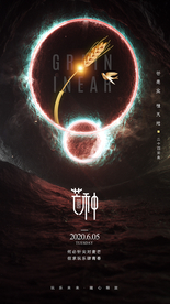 酒吧夜店芒种节气海报