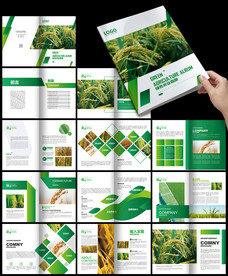 生态农业绿色水稻环保科技农业