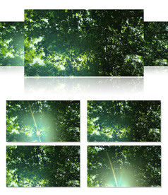 实拍绿色树林阳光穿越树叶缝隙