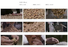 新疆核桃晾晒丰收品尝核桃仁