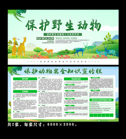 保护野生动物