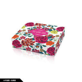 礼品包装 服装包装盒 飞机盒