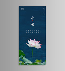 小暑 大暑 立夏 夏至 地产图