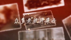 众多老照片展示