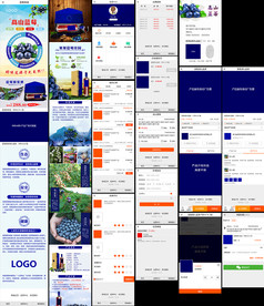 蓝莓商城购物平台APP手机界面