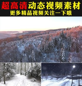 冬季雪景雪山雪花飘落景色视频