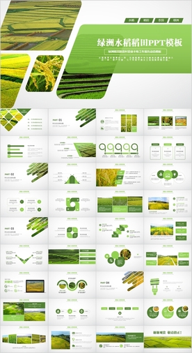 水稻农田绿洲大米PPT模板农业