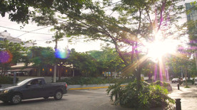 城市交通，游戏中时光倒流