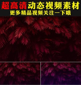 粉红色植物树叶LED背景视频