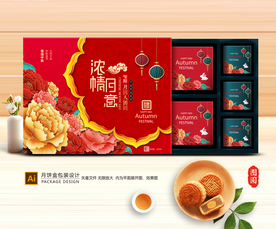 月饼包装 月饼礼盒