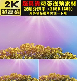 唯美紫色粉色光线粒子下落视频