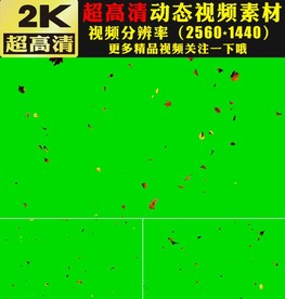 金色枫叶树叶飘落绿屏抠像视频