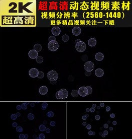 炫酷点线粒子科技动态视频素材