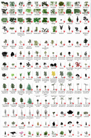 155套3D景观花草植物su