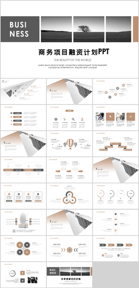项目融资计划书PPT