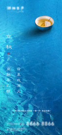 地产节气立秋质感海报
