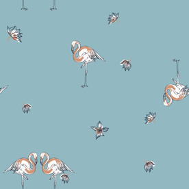 火烈鸟 夏天素材 小清新