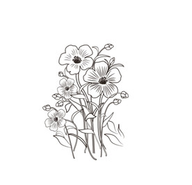 亚麻籽亚麻花手绘