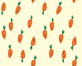 胡萝卜童装印花