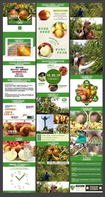 原创淘宝天猫冬枣详情页细节描述