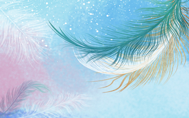 现代简约创意羽毛背景装饰画