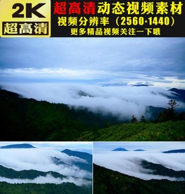 小清晰高山森林树木蓝天云海视频