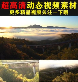 小清新高山森林树木小草蓝天白云