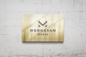 高端LOGO墙样机样机