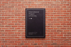 高端LOGO墙样机样机