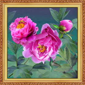 原创高清牡丹翠鸟装饰画