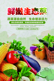 蔬菜海报