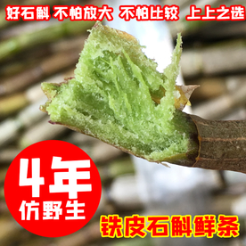 野生石斛鲜条创意直通车主图设计