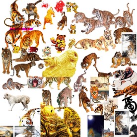 老虎大全