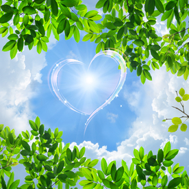 蓝天白云树叶客厅卧室立体吊顶