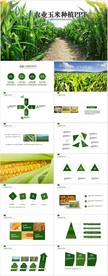 绿色农业产品农场玉米种植PPT